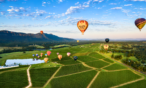 Cessnock Accommodation: BOOK DIRECT - Coal d' Vine Cottage