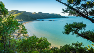 Aussie Chillout Travel Tips on Things to Do in Salamander Bay