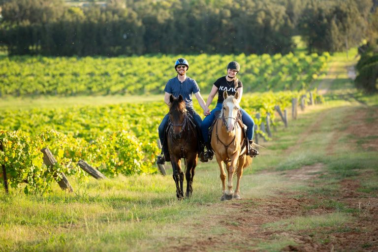 Hunter Valley Horse riding