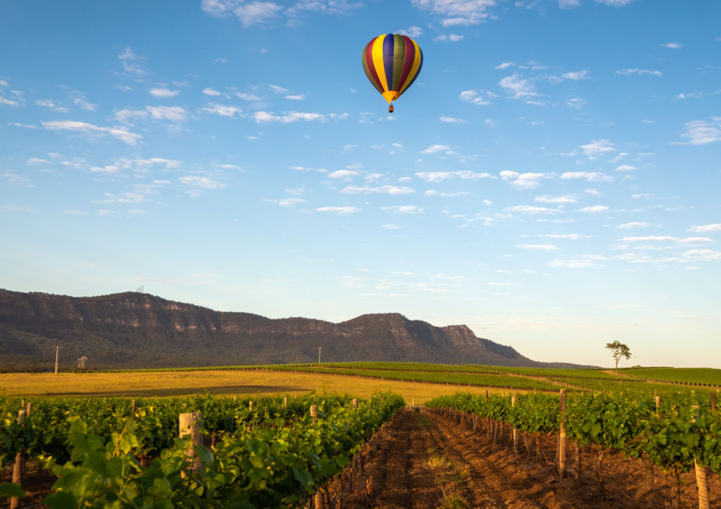 30 Things to Do Near Cessnock NSW | Wine, Wildlife, Food, Nature, Family Fun & Day Trips​