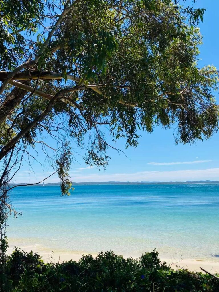 30 Things to Do Near Salamander Bay NSW | Beaches, Wildlife, Adventure, Family Fun & Day Trips