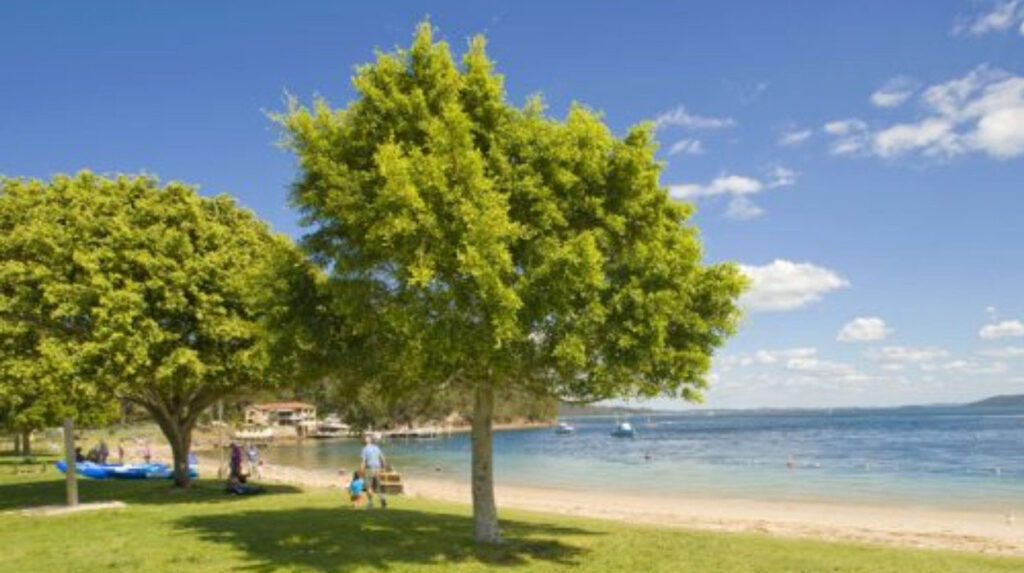 30 Things to Do Near Salamander Bay NSW | Beaches, Wildlife, Adventure, Family Fun & Day Trips