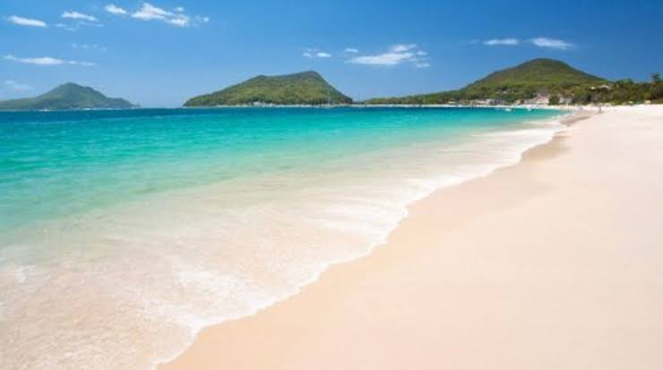 Discover Shoal Bay Beach